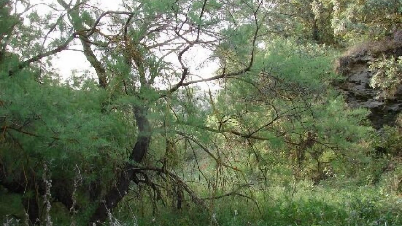 Photo of Outdoor in Villarrubia de Santiago