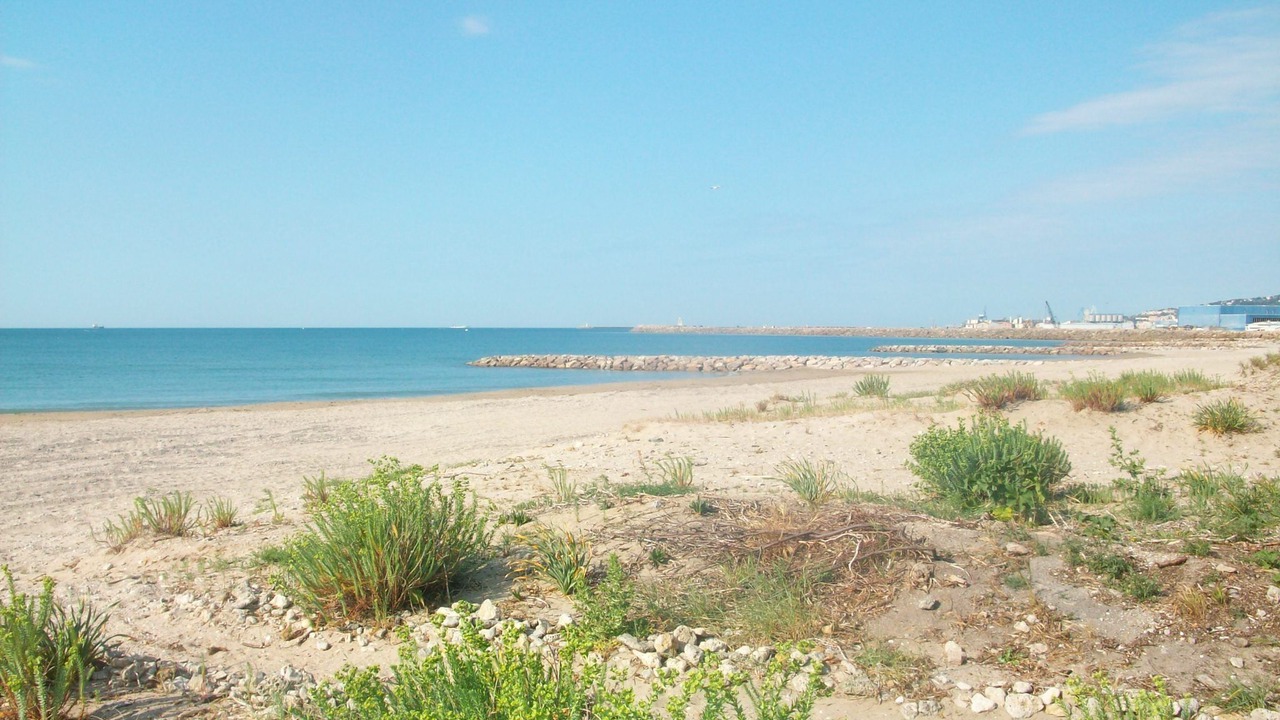 Photo of Others in Frontignan