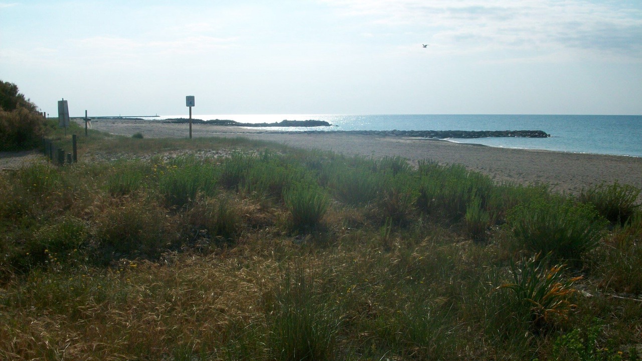 Photo of Others in Frontignan