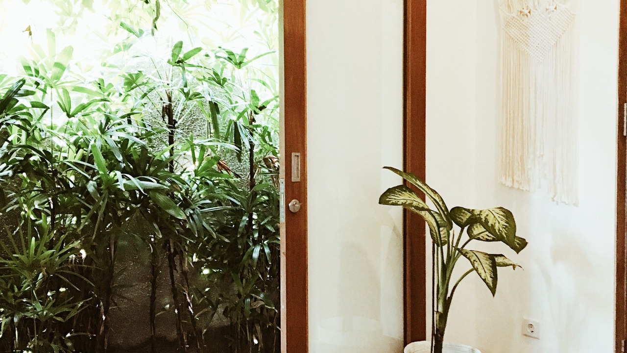 Photo of Bedroom in Pererenan