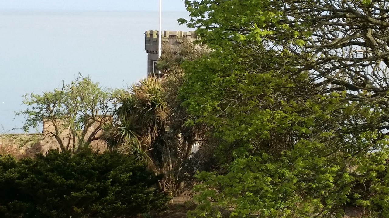 Photo of Others in Crail