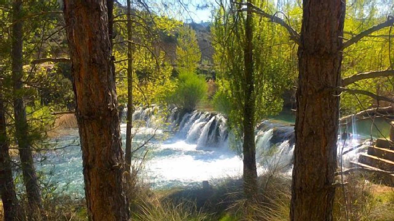 Photo of Outdoor in Pajaroncillo