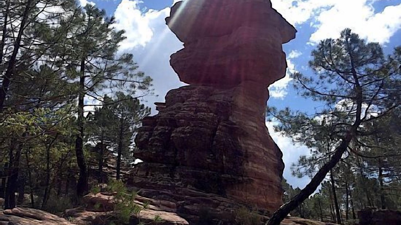 Photo of Outdoor in Pajaroncillo