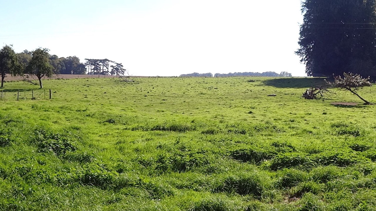 Photo of Outdoor in Bernieres
