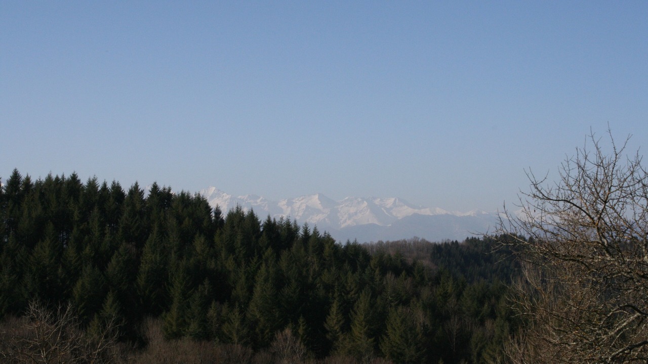 Photo of Outdoor in Camarade