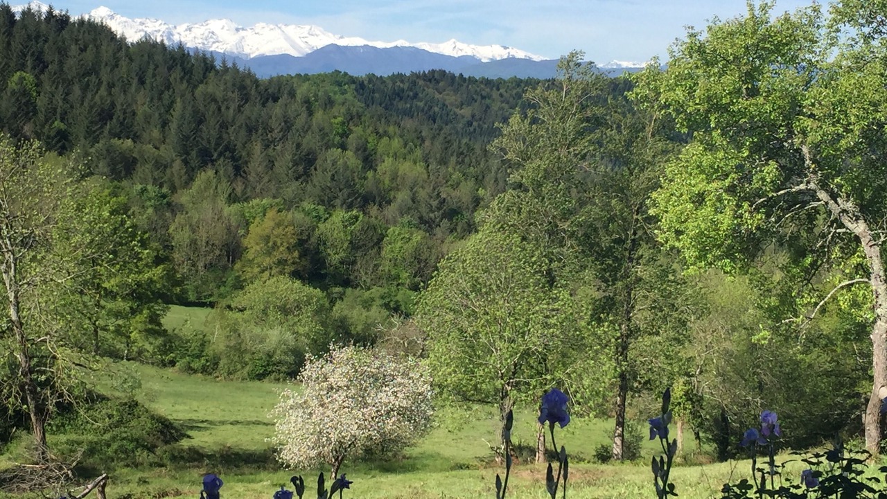 Photo of Others in Camarade