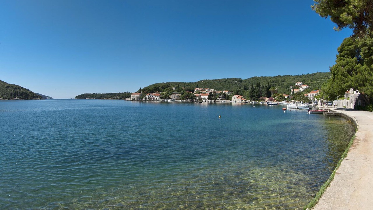 Photo of Others in Zaton