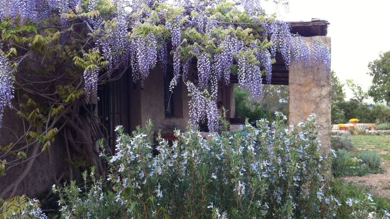Photo of Outdoor in Entrecasteaux