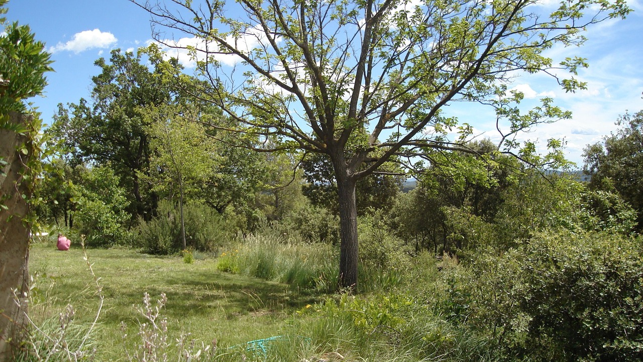 Photo of Outdoor in Entrecasteaux