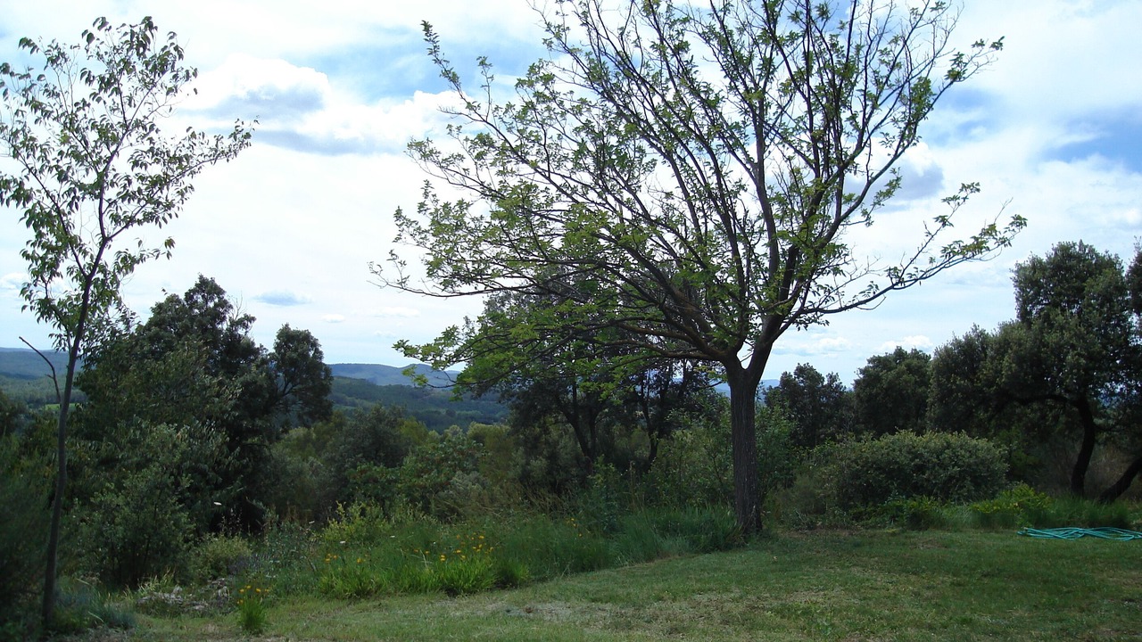 Photo of Outdoor in Entrecasteaux