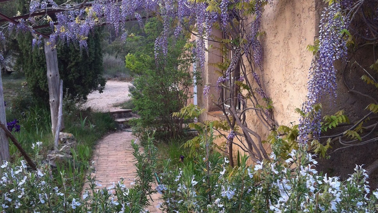 Photo of Outdoor in Entrecasteaux