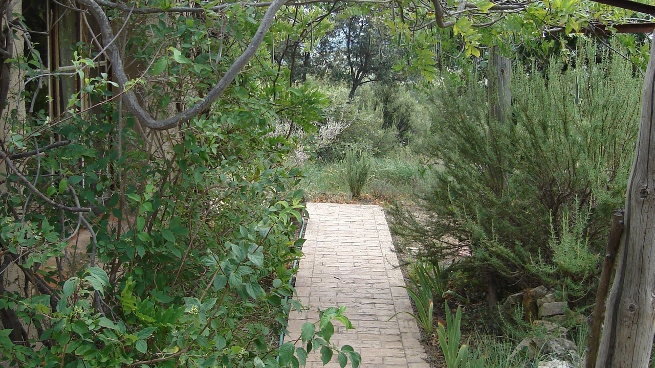 Photo of Outdoor in Entrecasteaux