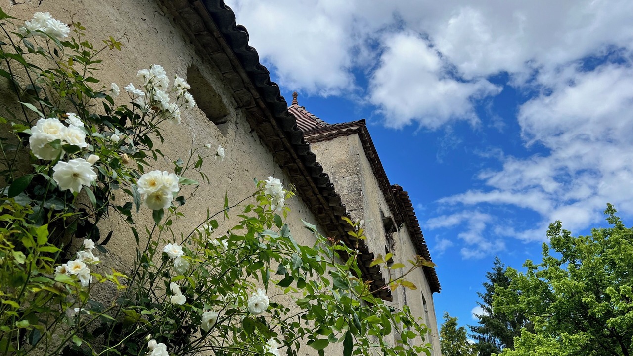 Photo of Outdoor in Mauriac