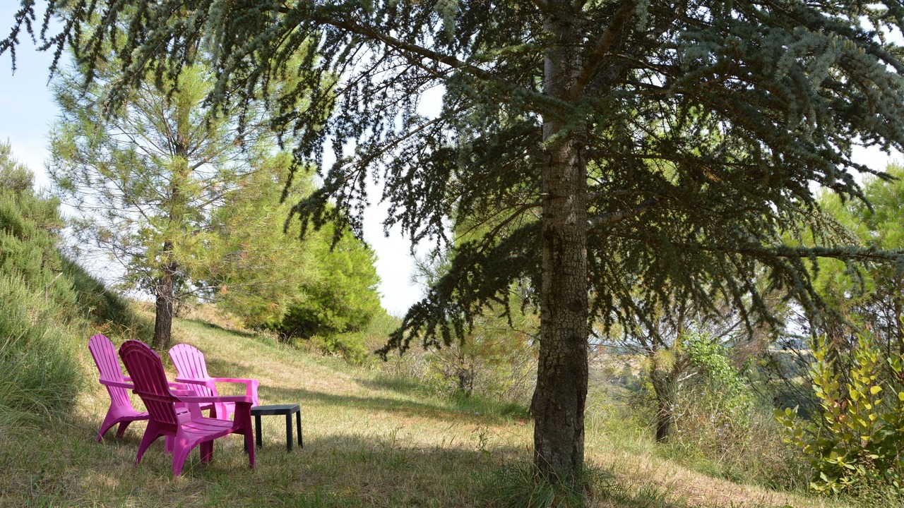Photo of Outdoor in Laurac