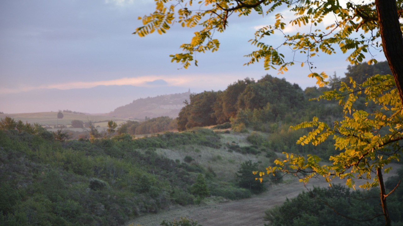 Photo of Outdoor in Laurac