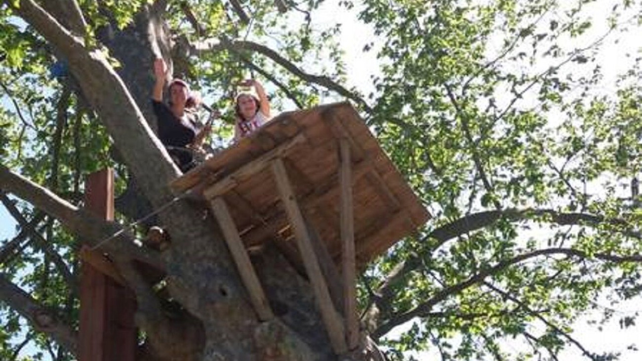 Photo of Others in Maureillas-Las-Illas