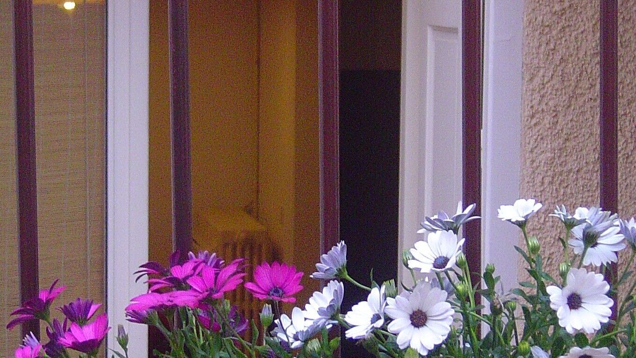 Photo of Outdoor in Maureillas-Las-Illas