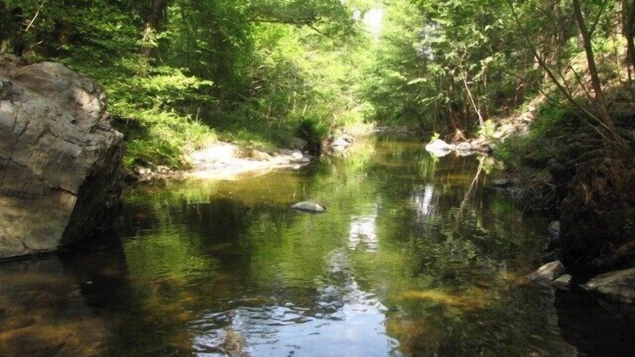 Photo of Outdoor in Maureillas-Las-Illas