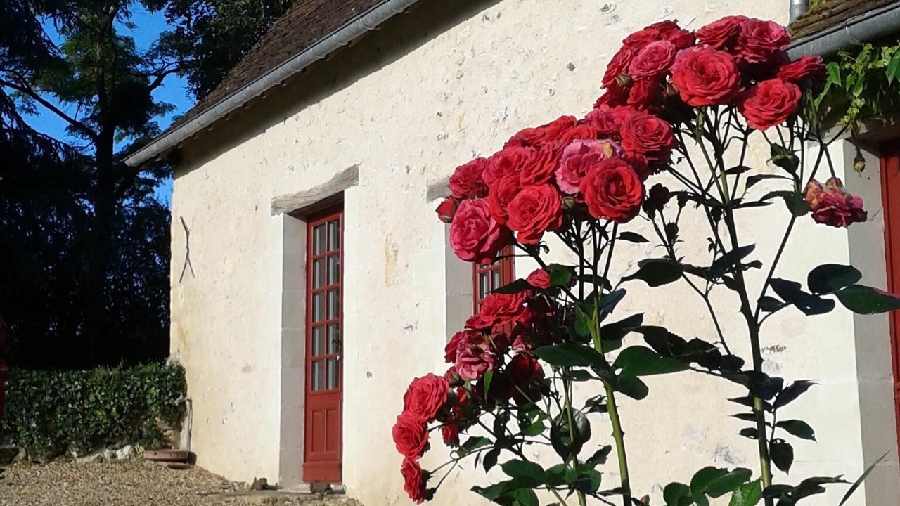 Photo of Outdoor in Le Grand-Pressigny