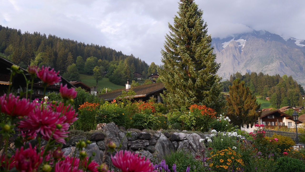 Photo of Outdoor in Grindelwald