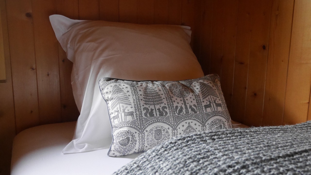Photo of Bedroom in Grindelwald
