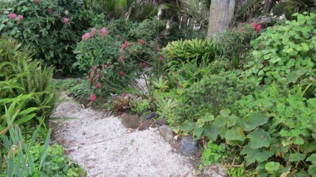 Photo of Outdoor in Beachlands