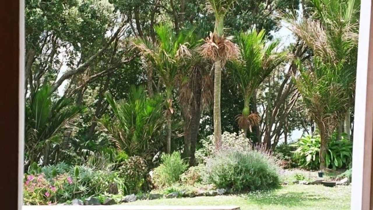 Photo of Others in Beachlands