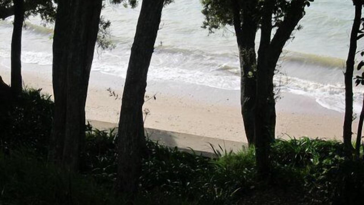 Photo of Outdoor in Beachlands