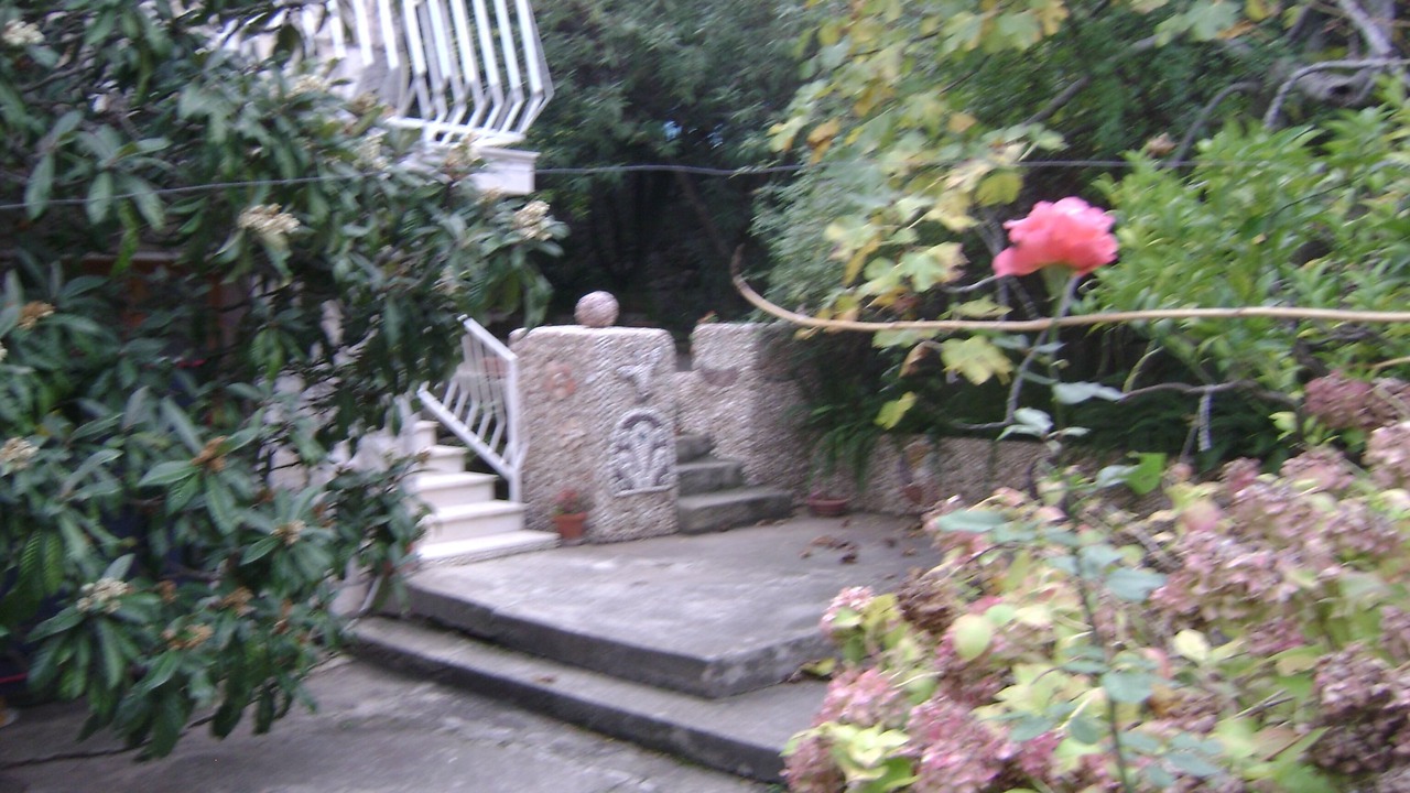 Photo of Outdoor in Cavtat