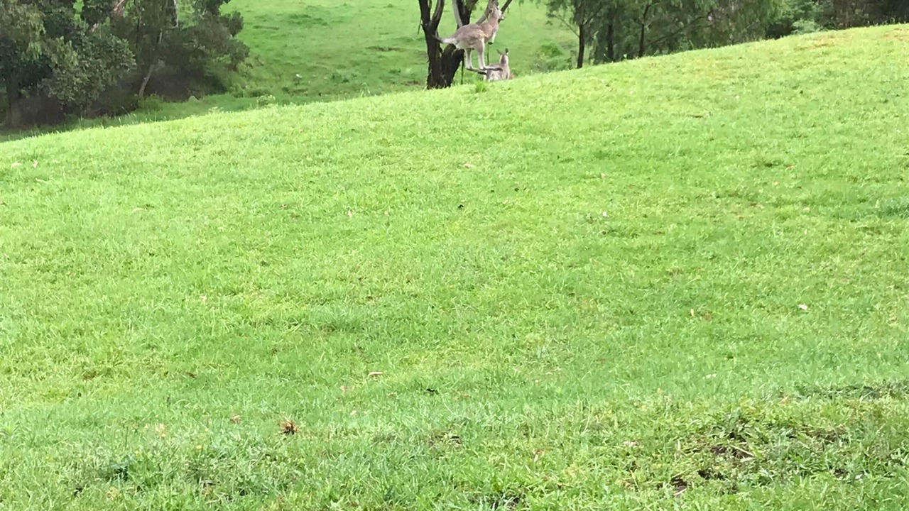Photo of Bedroom in Kangaroo Valley