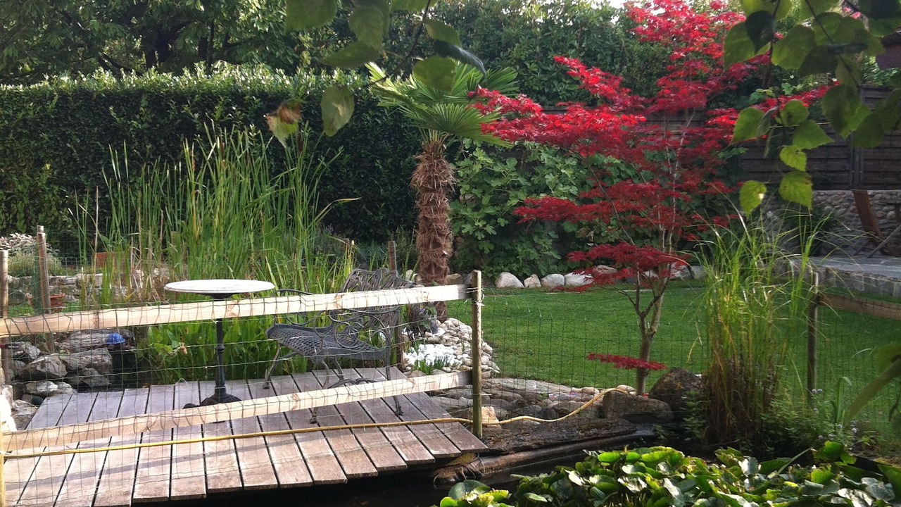 Photo of Outdoor in Buchillon