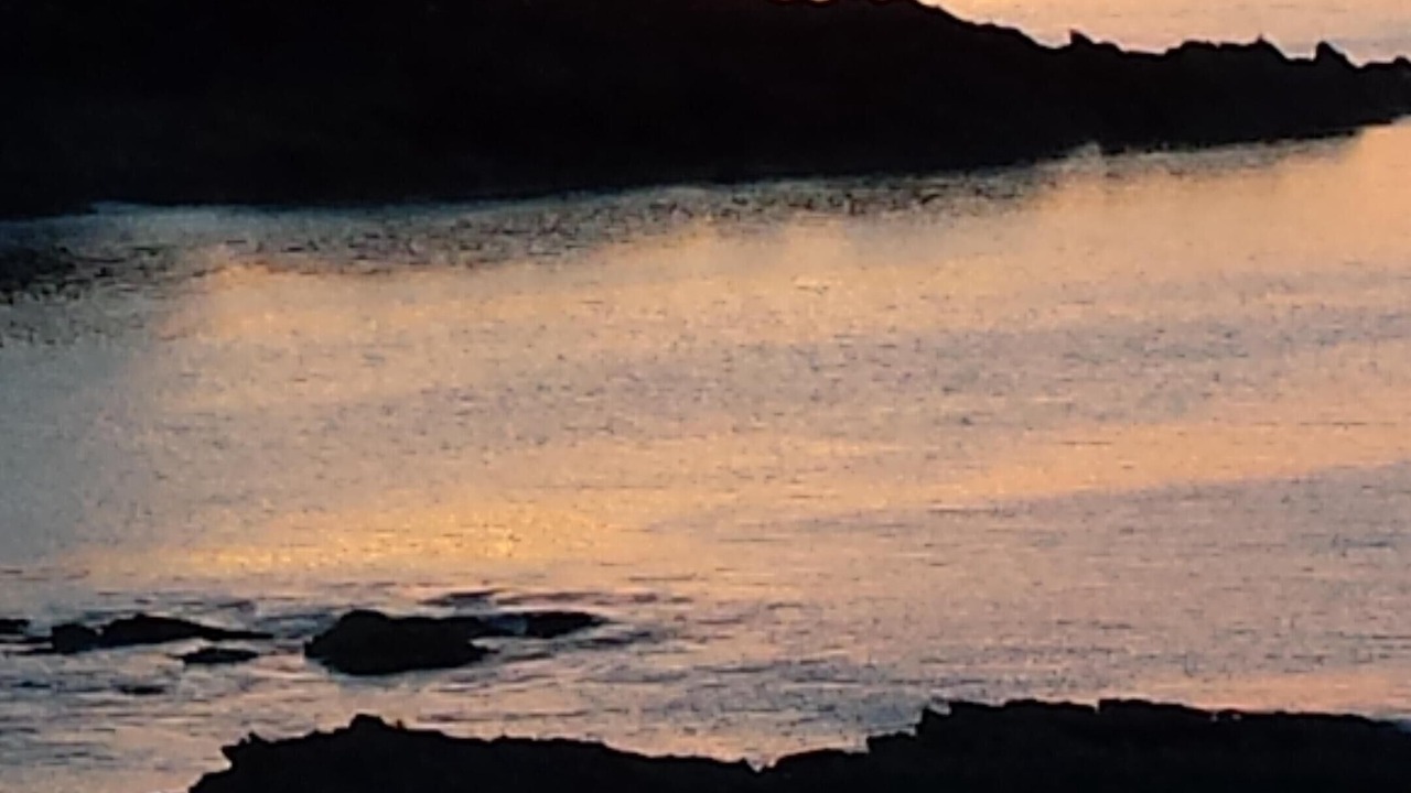 Photo of Others in Courtoisville-Sillon-Moka