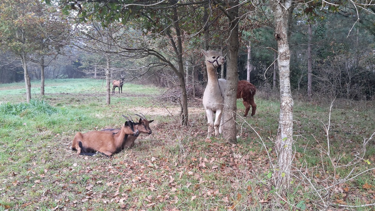 Photo of Outdoor in Le Champ-Saint-Pere