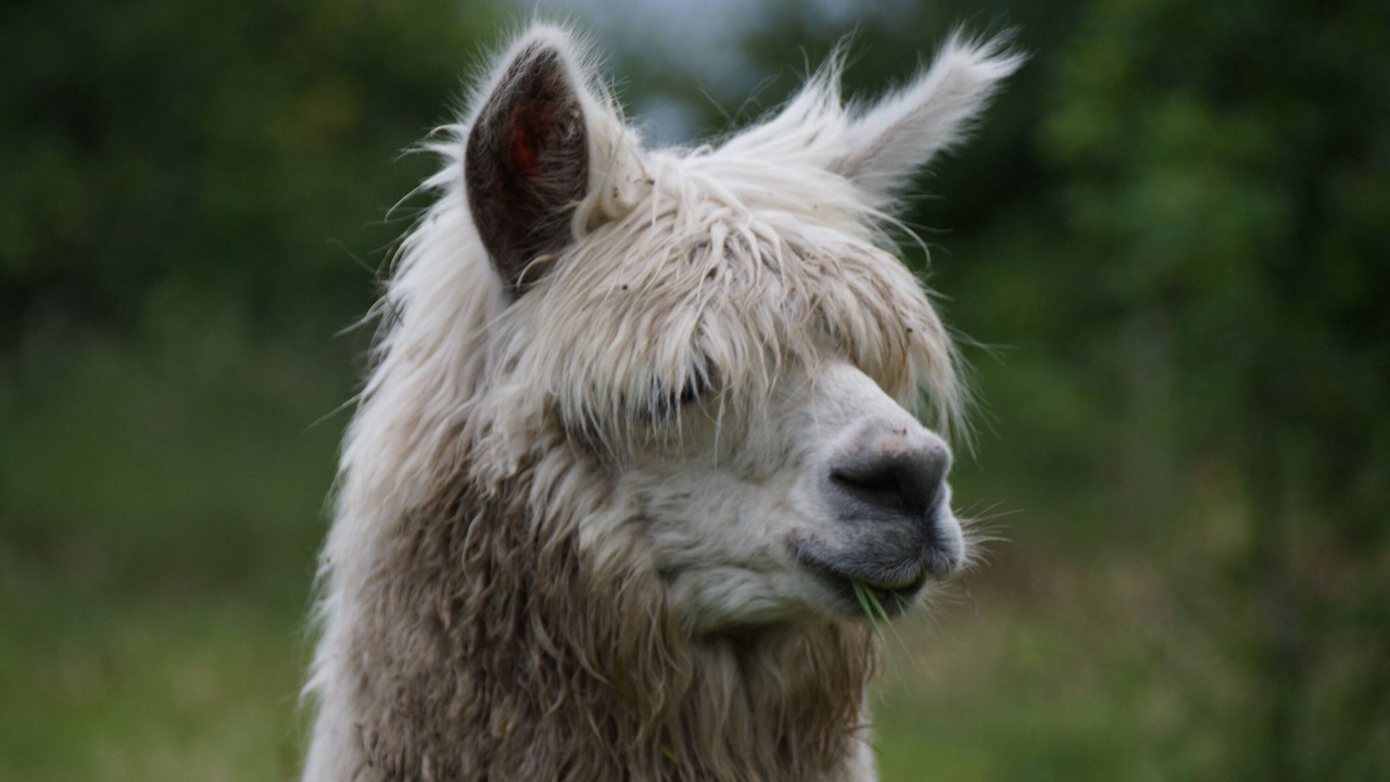 Photo of Outdoor in Le Champ-Saint-Pere