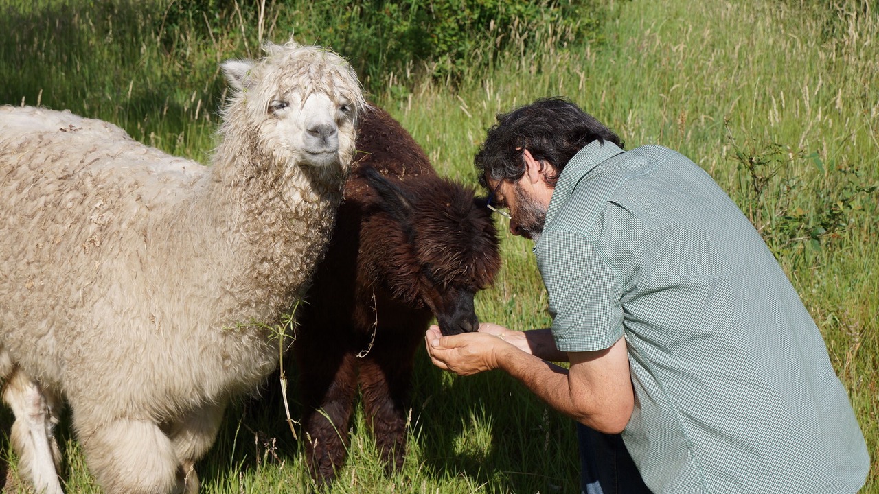 Photo of Outdoor in Le Champ-Saint-Pere