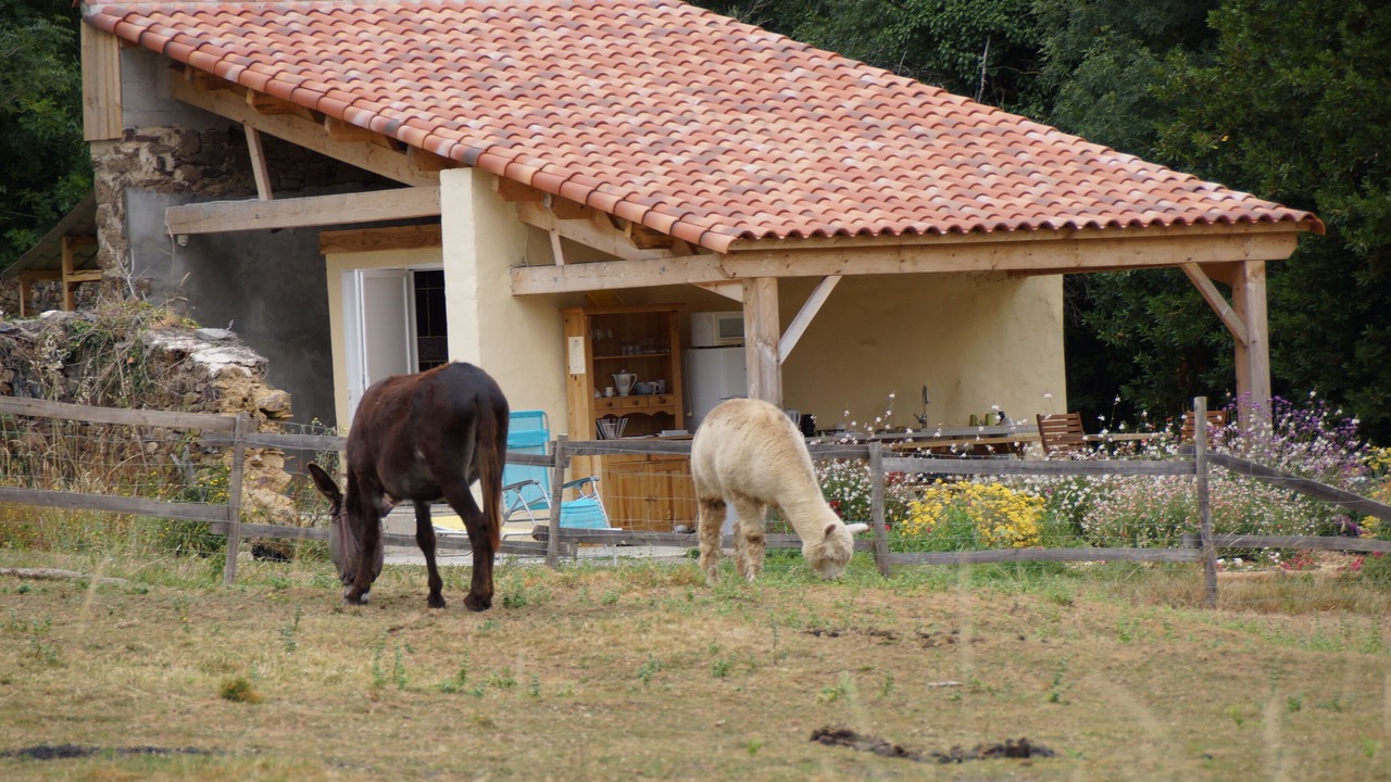 Photo of Outdoor in Le Champ-Saint-Pere