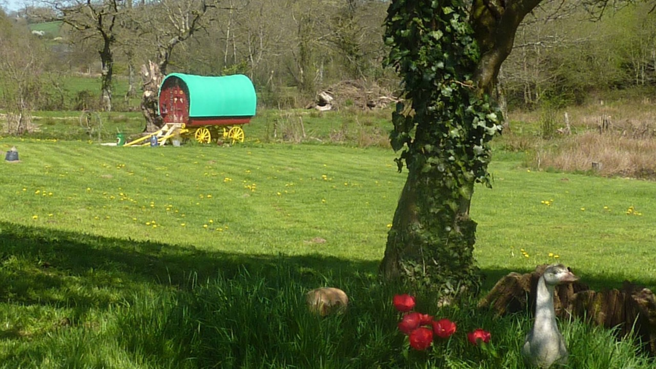 Photo of Outdoor in Hardanges