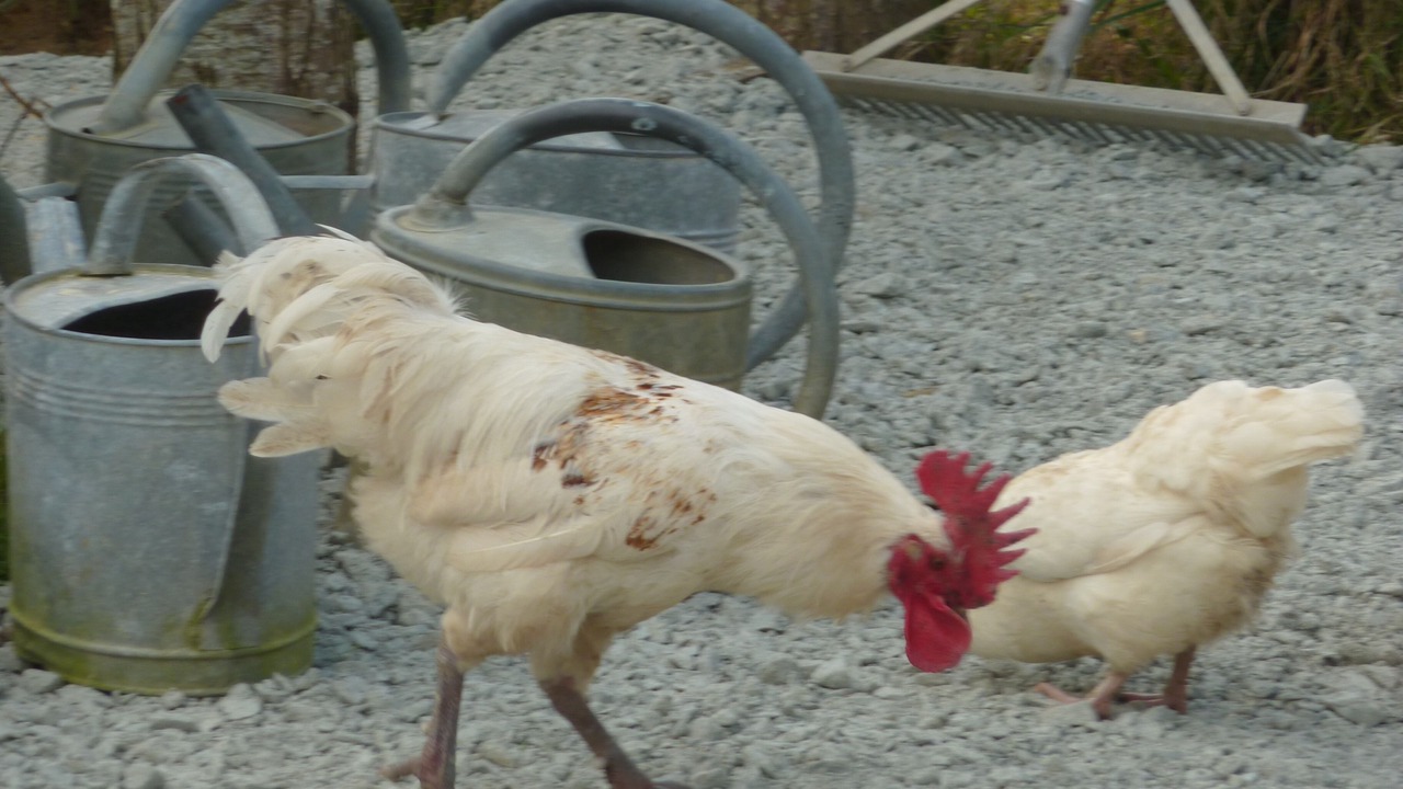 Photo of Outdoor in Hardanges