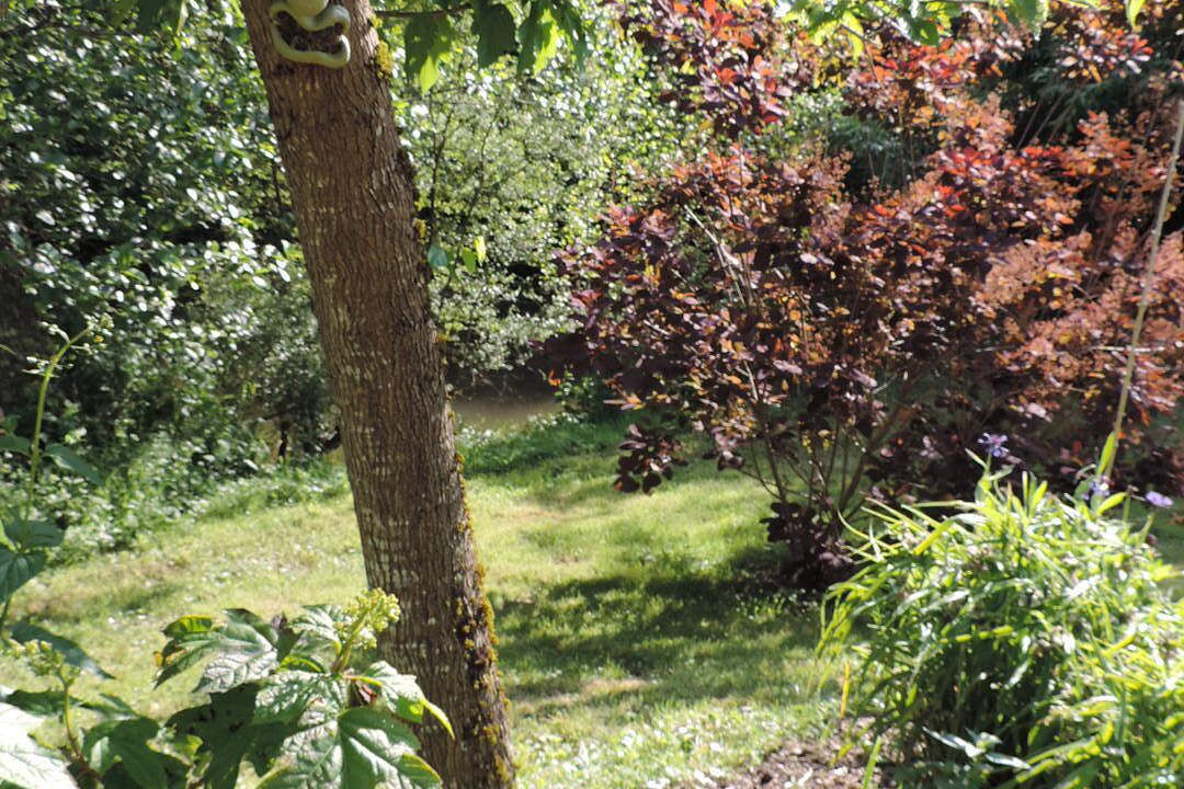 Photo of Outdoor in Sonnac