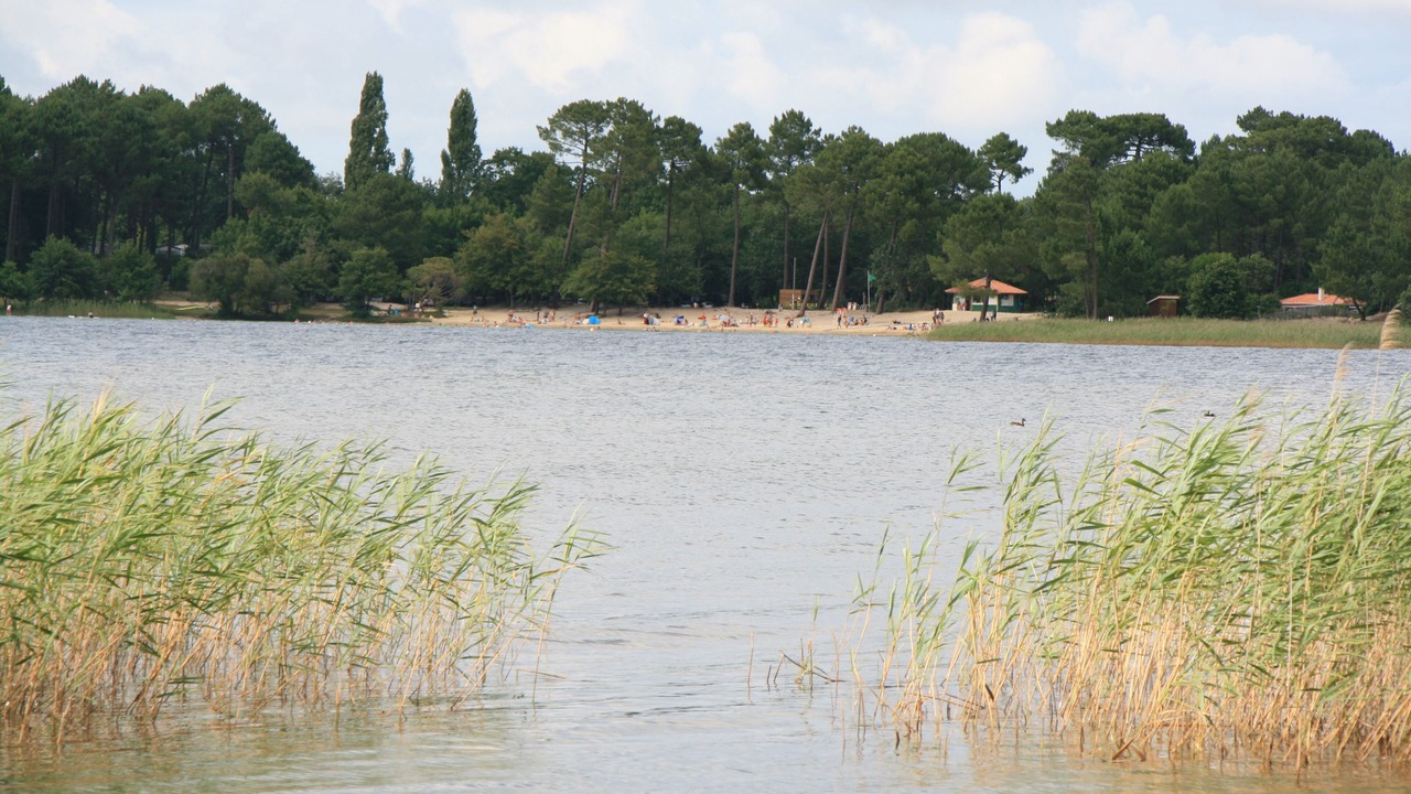 Photo of Others in Sanguinet