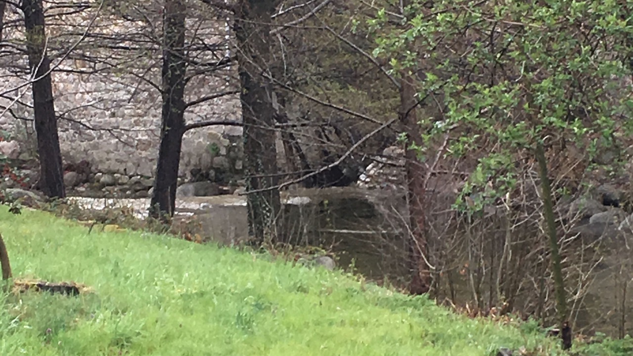 Photo of Outdoor in Villefort