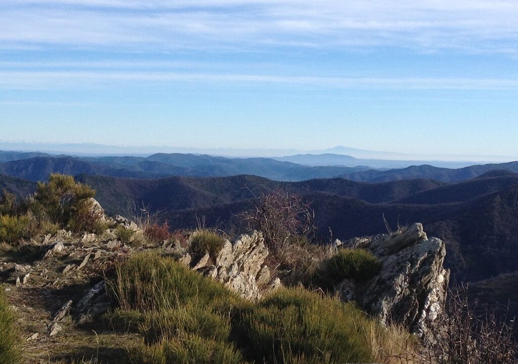 Photo of Others in Saint-Jean-du-Gard