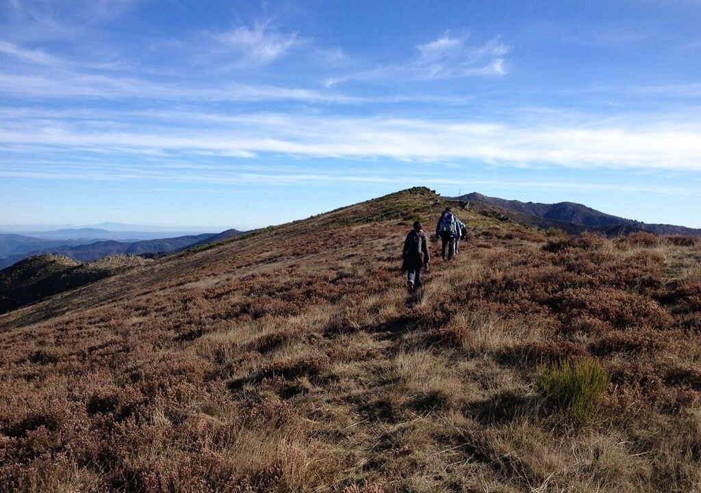 Photo of Others in Saint-Jean-du-Gard