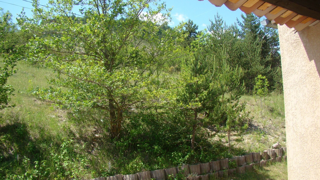 Photo of Outdoor in Salerans