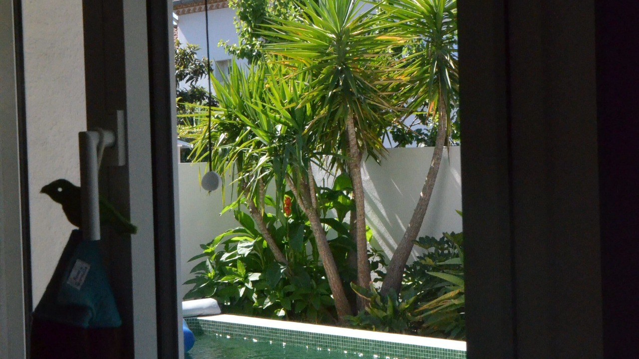 Photo of Outdoor in Beaux Arts-Boutonnet