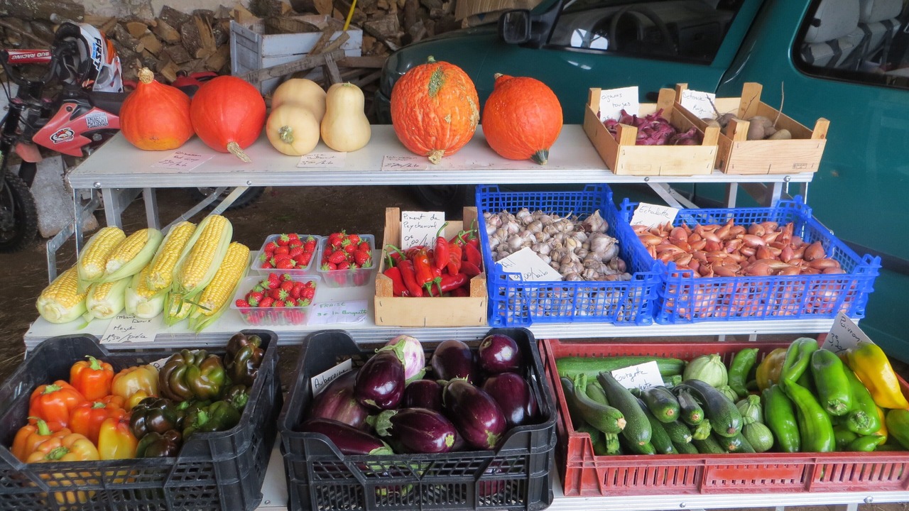 Photo of Others in Lamonzie-Montastruc