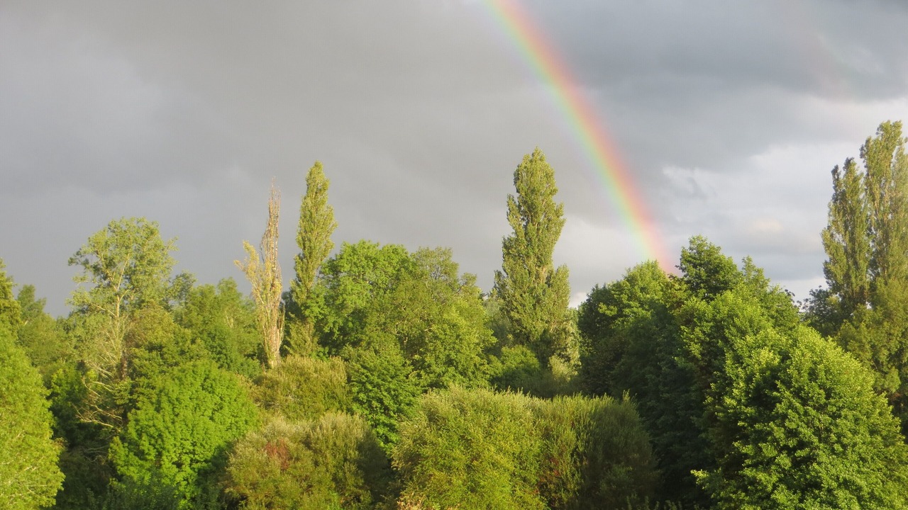 Photo of Outdoor in Lamonzie-Montastruc