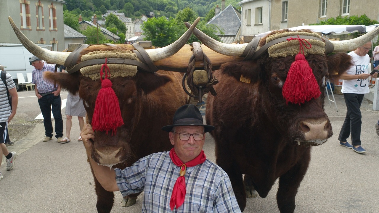 Photo of Outdoor in Saint-Agnan