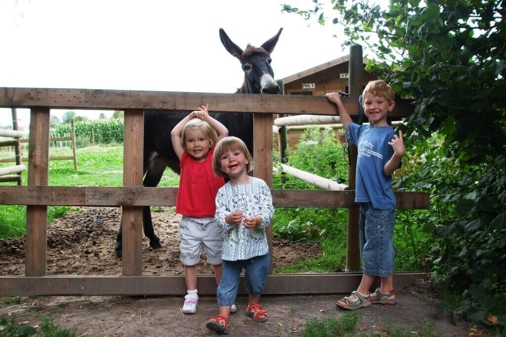 Photo of Others in Nielles-les-Ardres