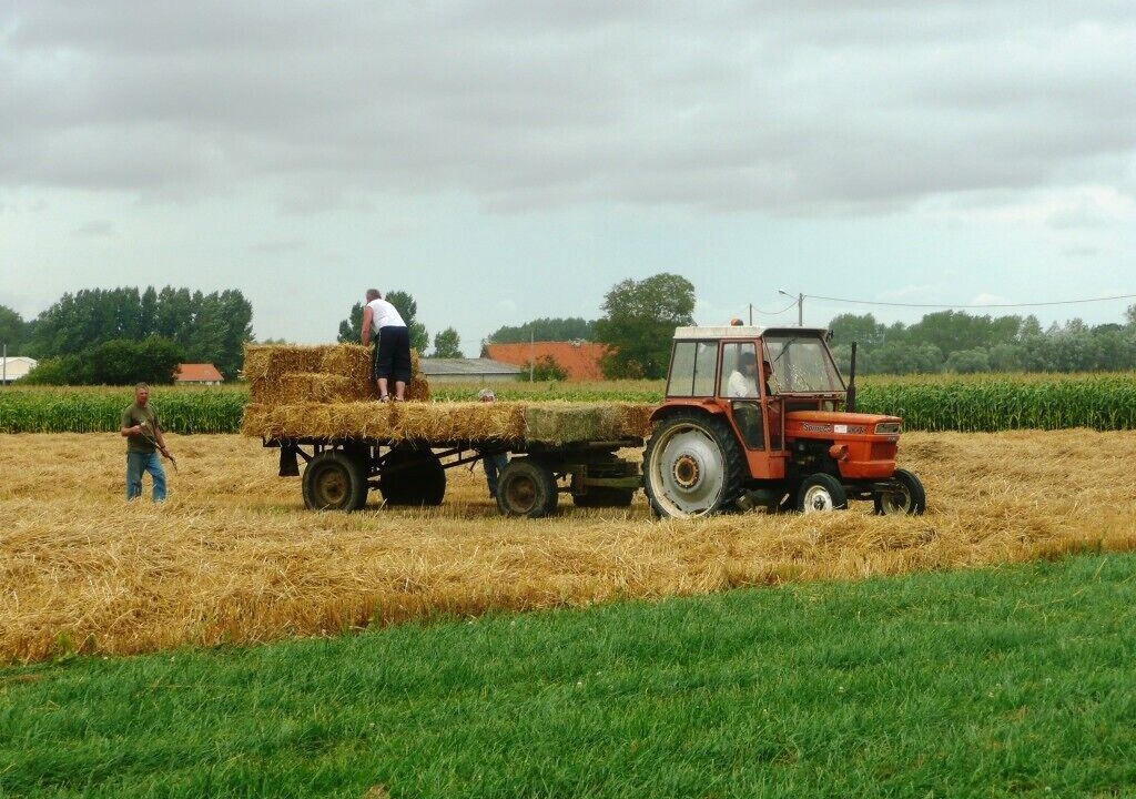 Photo of Outdoor in Nielles-les-Ardres